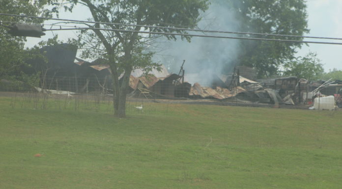 (Latest) Hundreds of animals die in fire near West Point