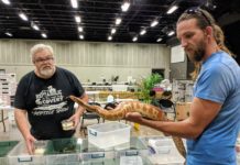 Exotic pet expo returns to Cullman