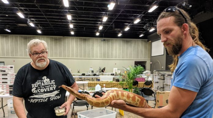 Exotic pet expo returns to Cullman
