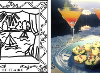 THE 67-COUNTY, ALABAMA GARDEN PARTY: St. Clair County