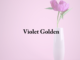 Obituary: Violet Golden