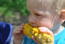 Cullman City Schools free summer feeding program June 3-July 26