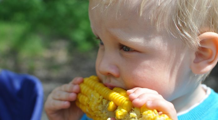 Local sites offering free meals for kids this summer