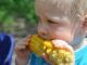 Cullman City Schools free summer feeding program June 3-July 26