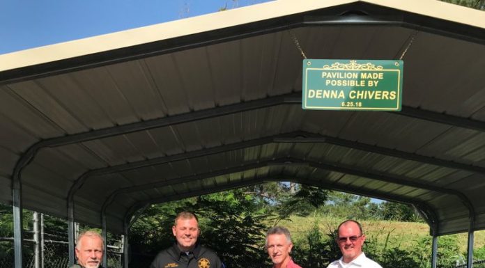 11-year-old Denna Chivers holding 3rd annual yard sale to help animals