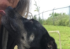 Pet of the Week: Grow some love with Pumpkin Seed!