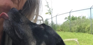 Pet of the Week: Grow some love with Pumpkin Seed!