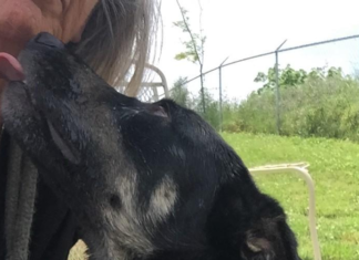 Pet of the Week: Grow some love with Pumpkin Seed!