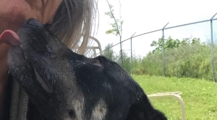 Pet of the Week: Grow some love with Pumpkin Seed!