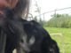 Pet of the Week: Grow some love with Pumpkin Seed!