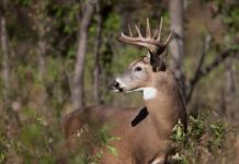 Alabama Bait Bill becomes law