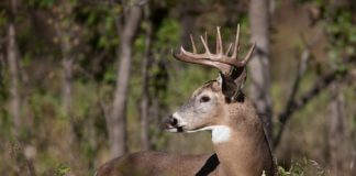 Alabama Bait Bill becomes law