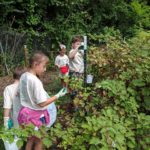 North Alabama Agriplex teaches kids about agriculture at Garden Camp