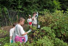 North Alabama Agriplex programs: Sept. and Oct.