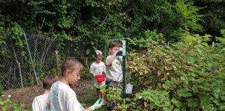 North Alabama Agriplex programs: Sept. and Oct.