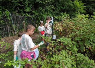 North Alabama Agriplex teaches kids about agriculture at Garden Camp