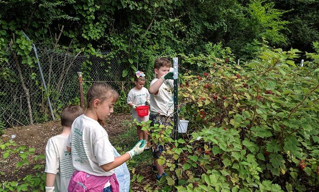 North Alabama Agriplex programs: Sept. and Oct.