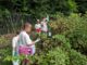 North Alabama Agriplex teaches kids about agriculture at Garden Camp