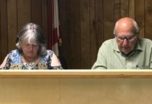 Vinemont delays decision on sales tax increase