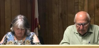 Vinemont delays decision on sales tax increase