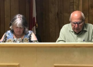 Vinemont delays decision on sales tax increase