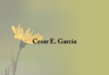 Obituary: Cesar E. Garcia