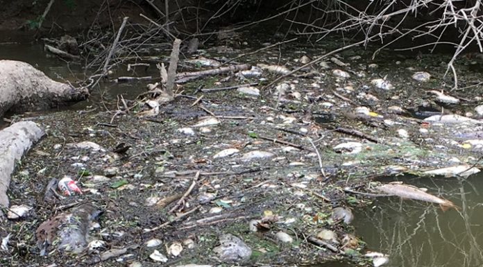 ‘This is heartbreaking for us’: River residents heavy-hearted; Tyson facing lawsuits