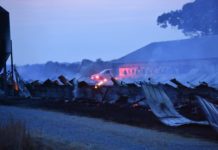 Chicken house destroyed by fire in Simcoe