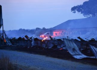 Chicken house destroyed by fire in Simcoe