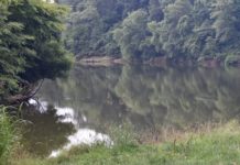 Tyson Spill Update: Tribune visits Mulberry and Sipsey Forks