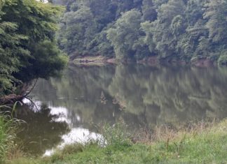 Tyson Spill Update: Tribune visits Mulberry and Sipsey Forks