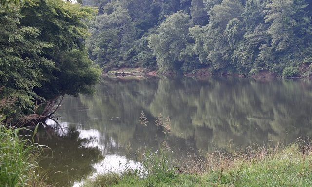 Tyson Spill Update: Tribune visits Mulberry and Sipsey Forks