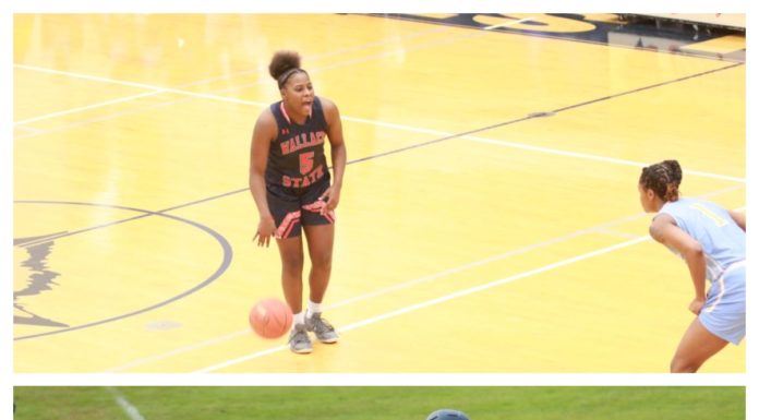 WSCC athletics: Imari Martin invited to NJCAA All-Star game in July; Robinson named to NFCA All-South Region Team, and more