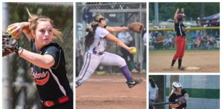 ALL-STATE SOFTBALL: Swann lands on 1st-team, several local players honored as well