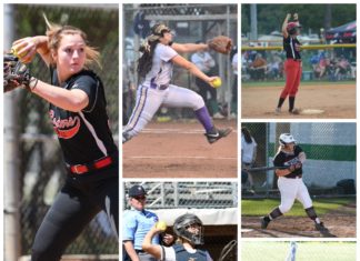 ALL-STATE SOFTBALL: Swann lands on 1st-team, several local players honored as well