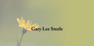 Obituary: Gary Lee Steele