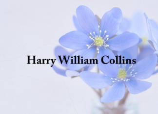 Obituary: Harry William Collins