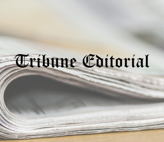 Tribune Editorial: To audit or not? A chamber of misdirection