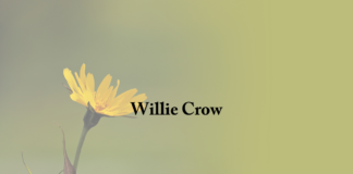 Obituary: Willie Crow