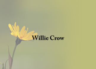 Obituary: Willie Crow