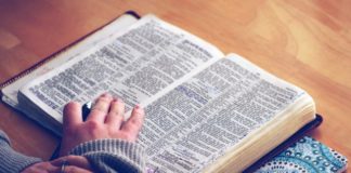 East Cullman Baptist Assoc. rolling out VBS for nursing homes