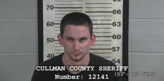 Hanceville man charged after 15 grams of meth found in car