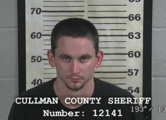 Hanceville man charged after 15 grams of meth found in car