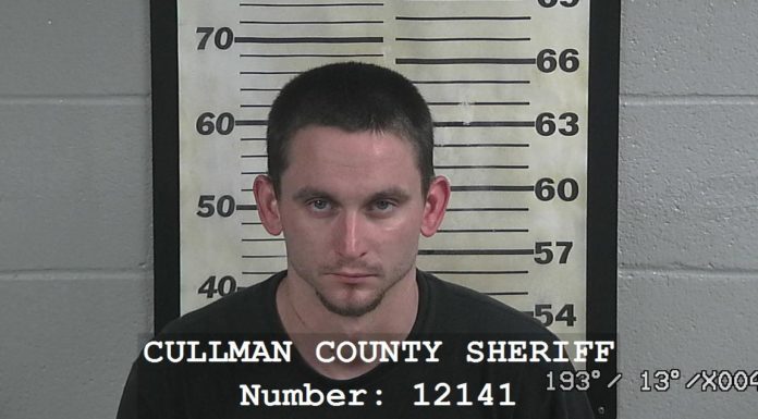 Hanceville man charged after 15 grams of meth found in car