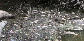 BREAKING: Residents, organizations file suit against Tyson over spill, plant conditions