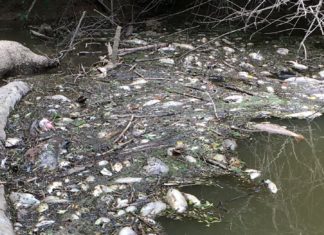 BREAKING: Residents, organizations file suit against Tyson over spill, plant conditions