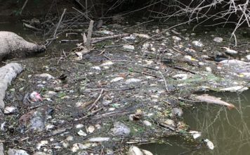 BREAKING: Residents, organizations file suit against Tyson over spill, plant conditions