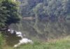 Inside the Tyson/Mulberry Fork lawsuit: Who did what, who’s asking for what
