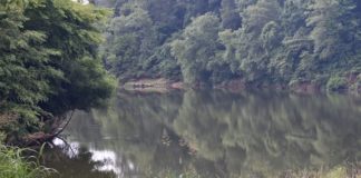 Inside the Tyson/Mulberry Fork lawsuit: Who did what, who’s asking for what