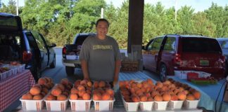 Local bounty: A look at local farmers’ markets